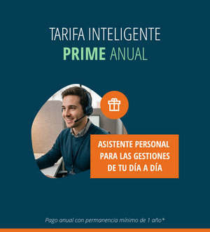 PRIME Anual